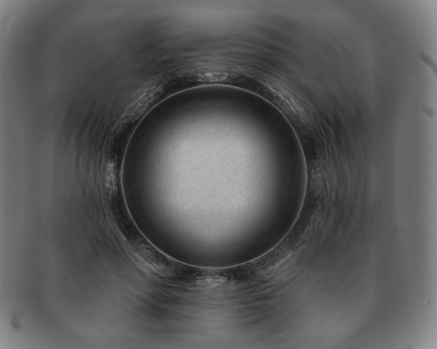 X0000091470598200708231340