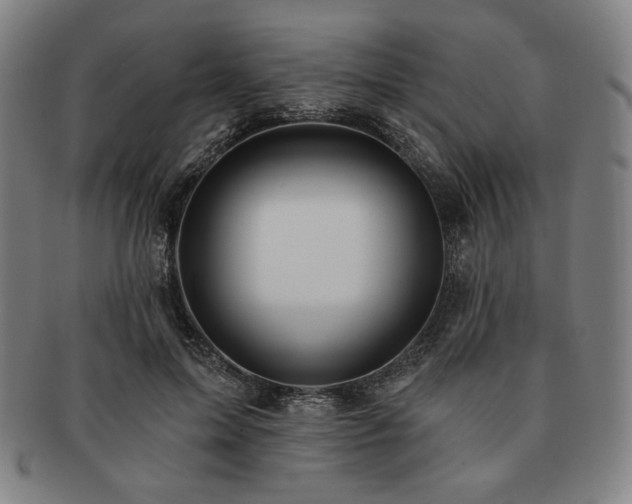 X0000091470599200708231340