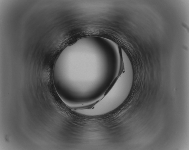 X0000091470600200708231340