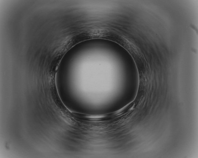 X0000091470601200708231340