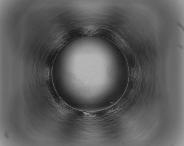 X0000091470602200708231340