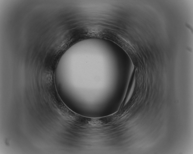 X0000091470603200708231340