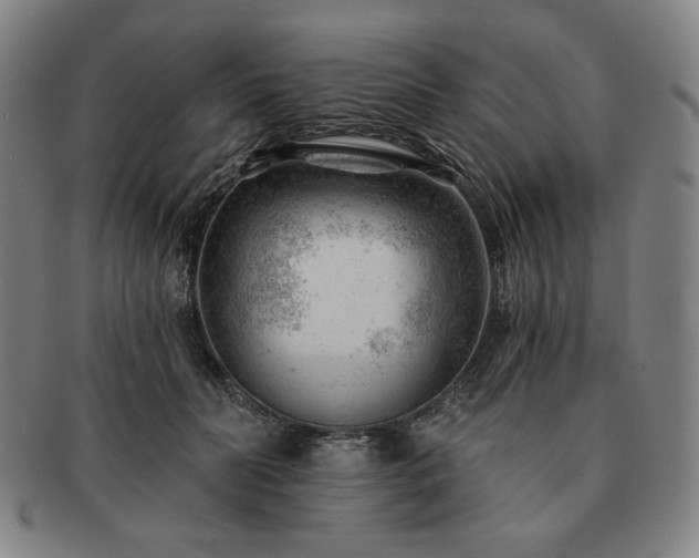 X0000091470606200708231340