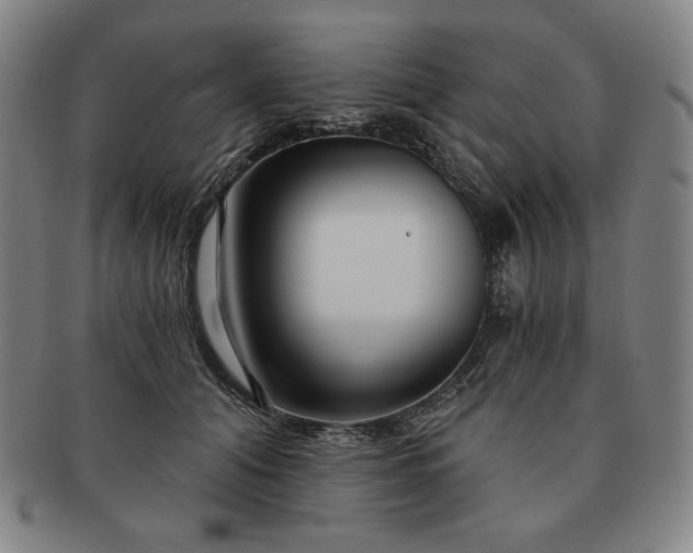 X0000091470608200708231340