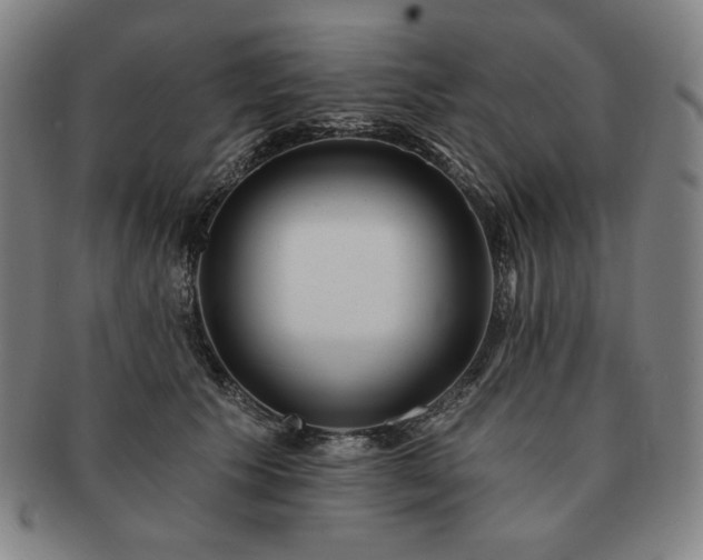 X0000091470609200708231340