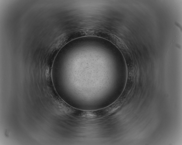 X0000091470610200708231340