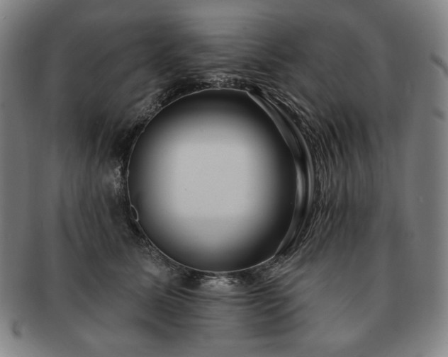 X0000091470611200708231339