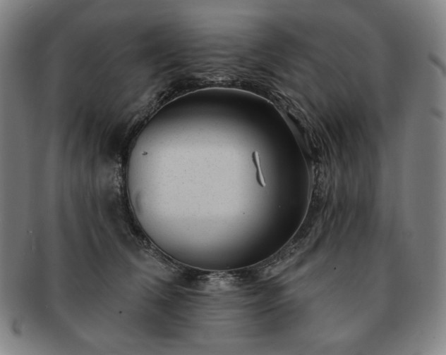 X0000091470612200708231339