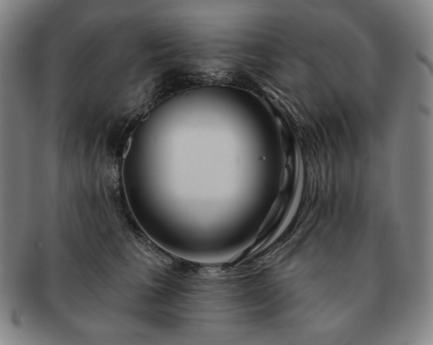 X0000091470613200708231339