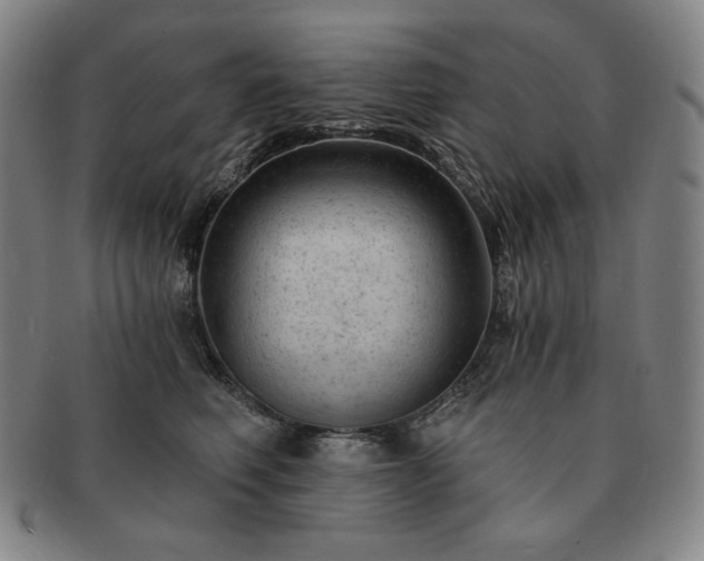 X0000091470614200708231339