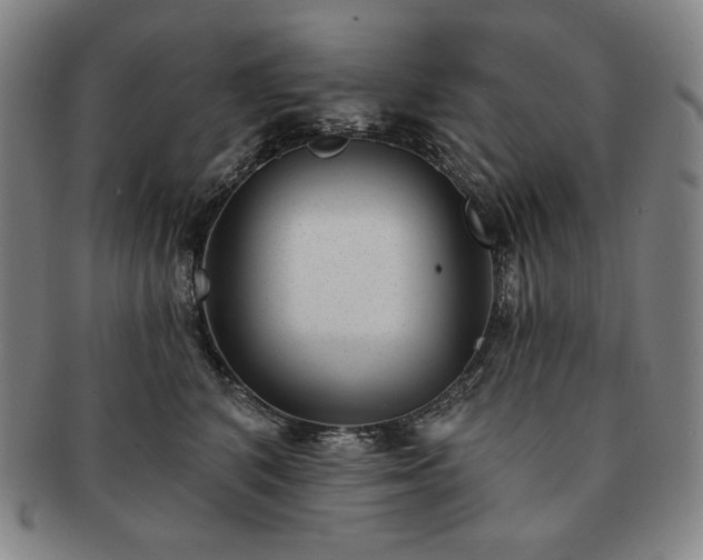 X0000091470616200708231339