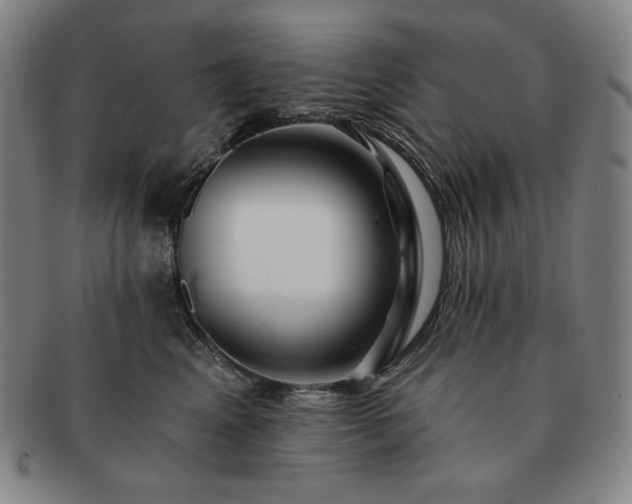 X0000091470617200708231339