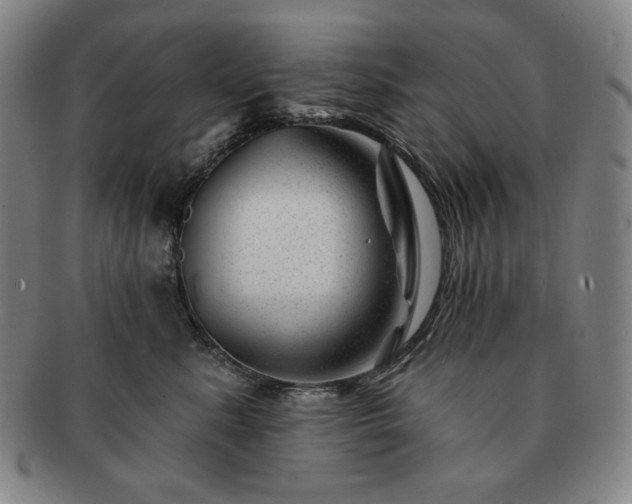 X0000091470619200708231339