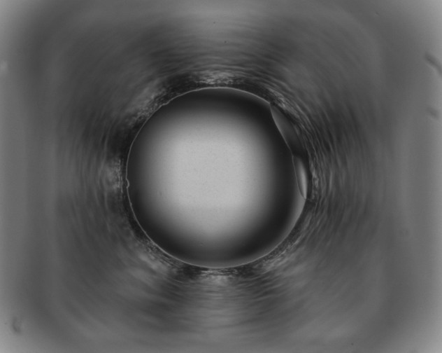 X0000091470620200708231339