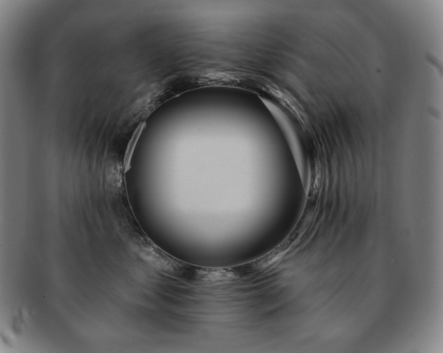 X0000091470621200708231339