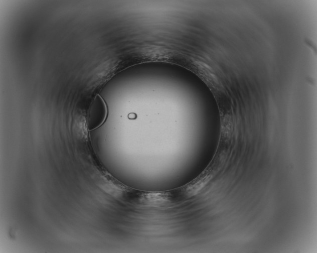 X0000091470622200708231339