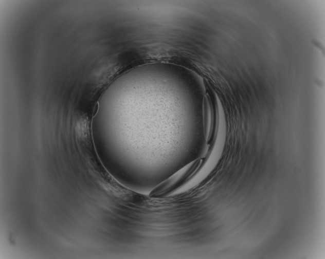 X0000091470623200708231339