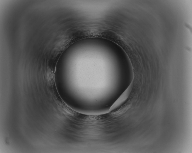 X0000091470624200708231339