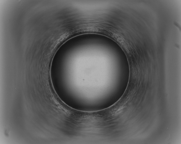 X0000091470625200708231338