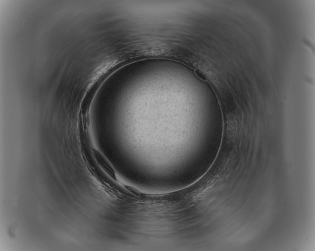 X0000091470626200708231339