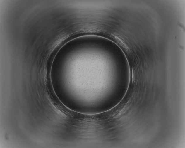 X0000091470627200708231339