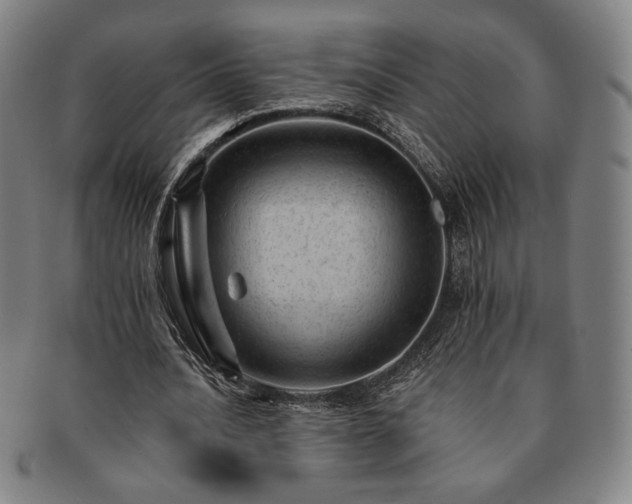 X0000091470628200708231339