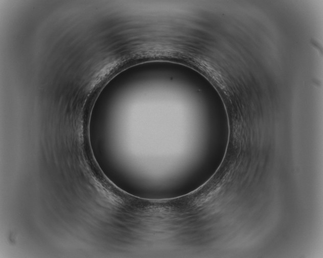 X0000091470629200708231339