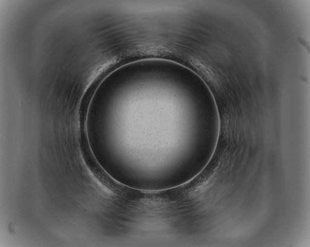 X0000091470630200708231339