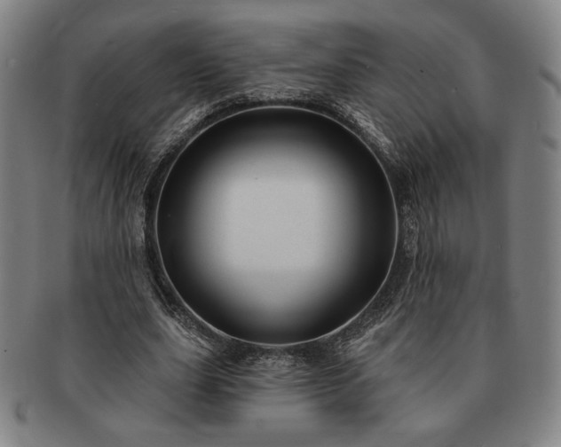 X0000091470631200708231339