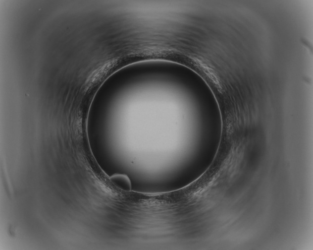 X0000091470633200708231339