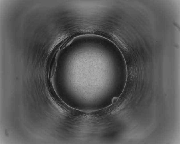 X0000091470634200708231339