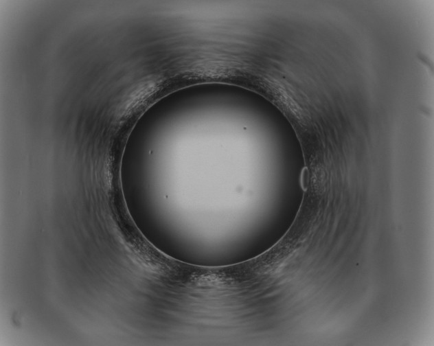 X0000091470635200708231339