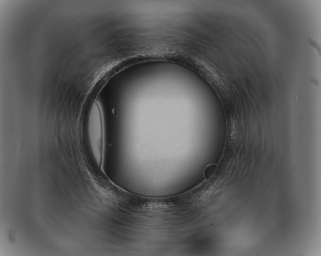 X0000091470636200708231339