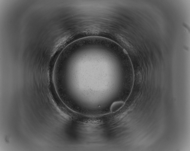 X0000091470638200708231339