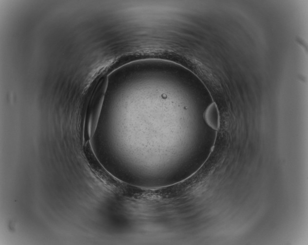 X0000091470640200708231339