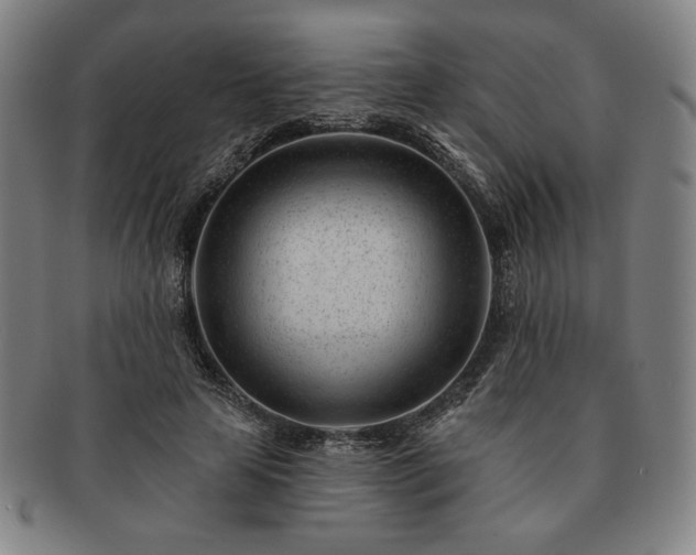 X0000091470641200708231339