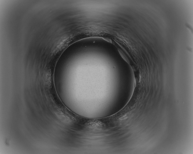 X0000091470642200708231339