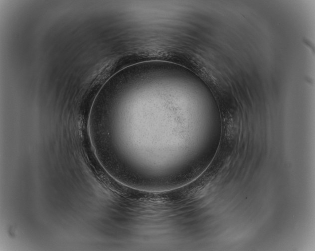 X0000091470643200708231339