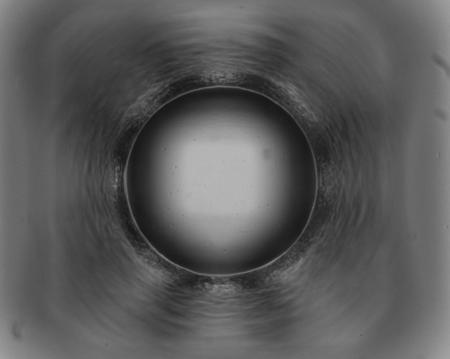 X0000091470645200708231339