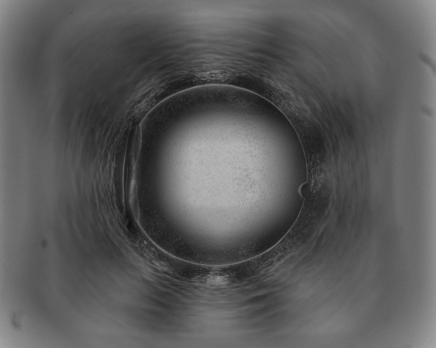 X0000091470647200708231339