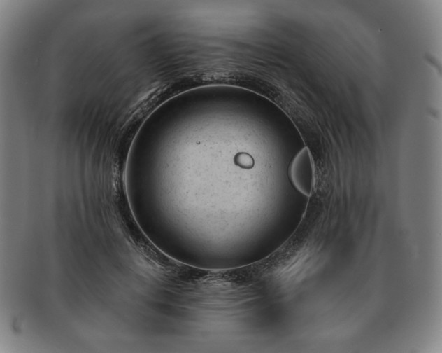 X0000091470648200708231339