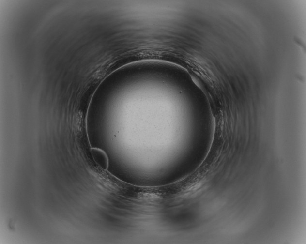 X0000091470649200708231339