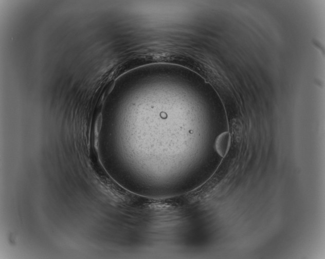 X0000091470650200708231339