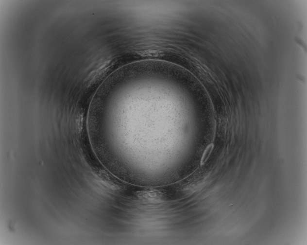 X0000091470652200708231339