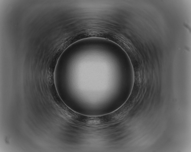 X0000091470653200708231339