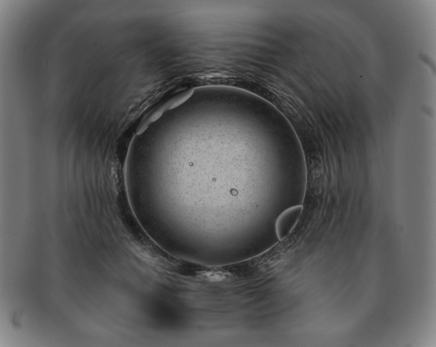 X0000091470654200708231339