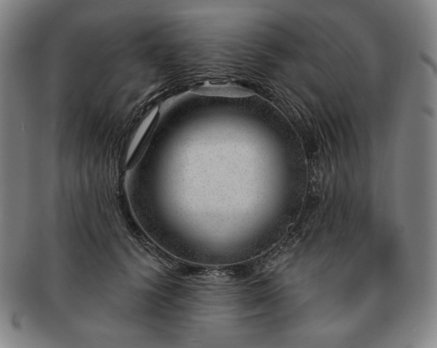 X0000091470656200708231339