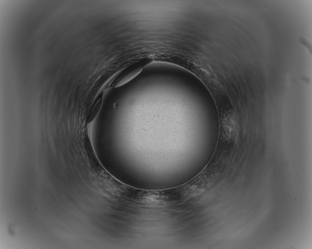 X0000091470657200708231339