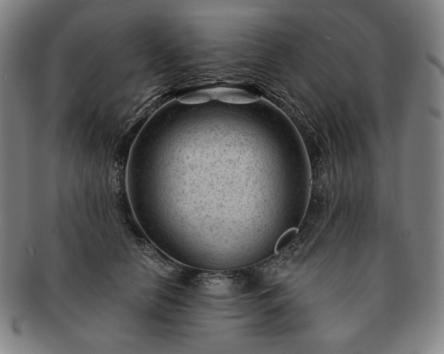 X0000091470658200708231339