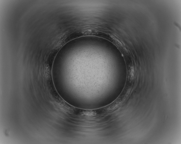 X0000091470659200708231339